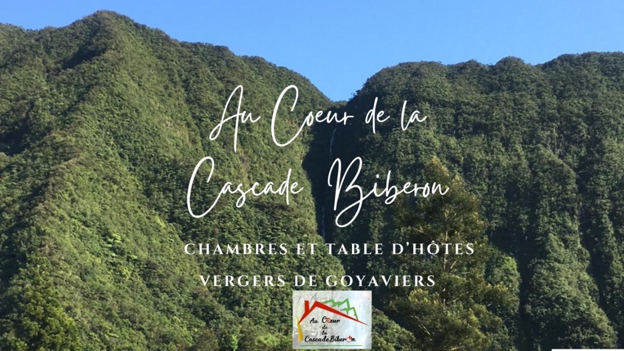 ラ・プレンヌ・デ・パルミスト Au Coeur De La Cascade Biberon Bed & Breakfast エクステリア 写真